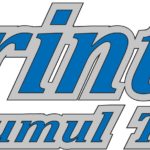 logo print shop drumul taberei